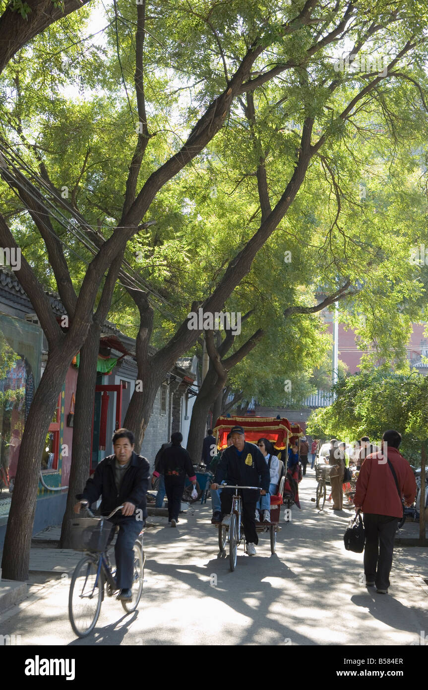 Einer von Bäumen gesäumten Allee in einer lokalen Umgebung Hutong Gegend von Peking, China, Asien Stockfoto