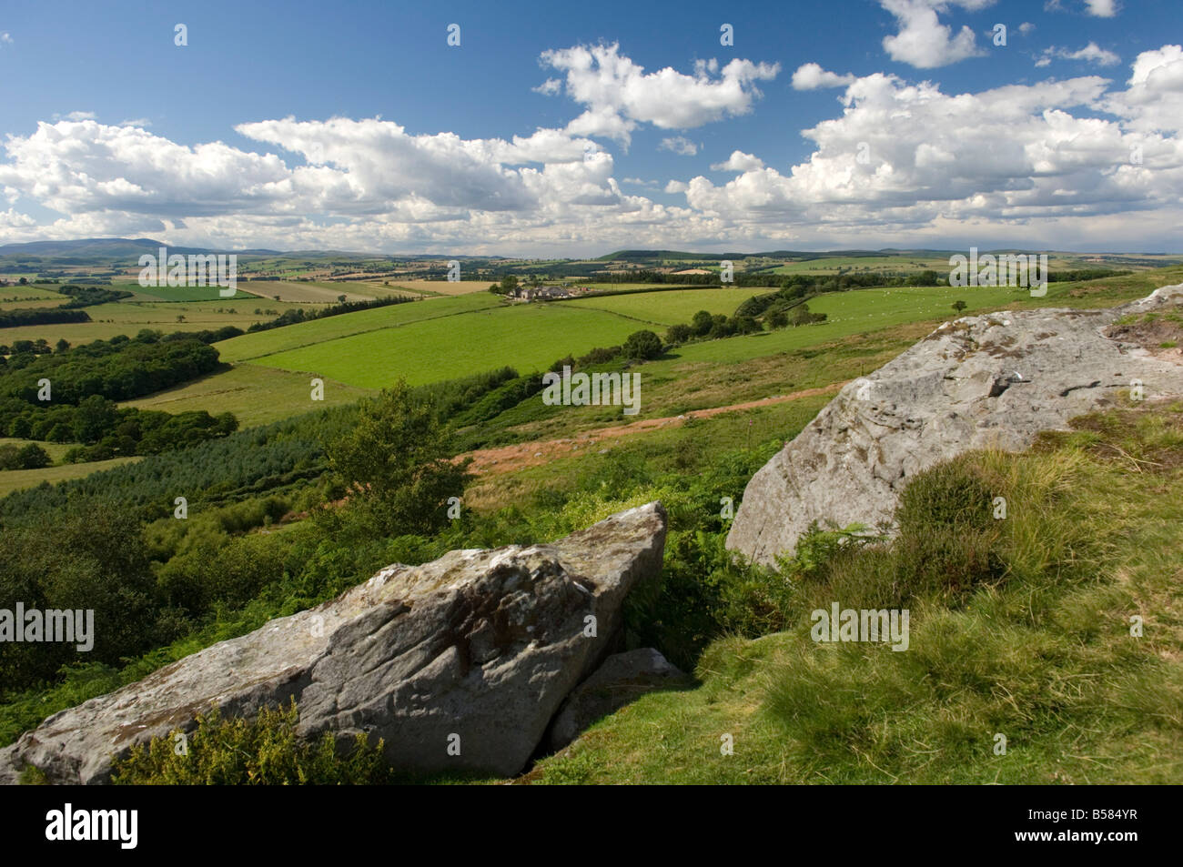 Northumberland National Park in der Nähe von Otterburn, Northumberland, England, Vereinigtes Königreich, Europa Stockfoto