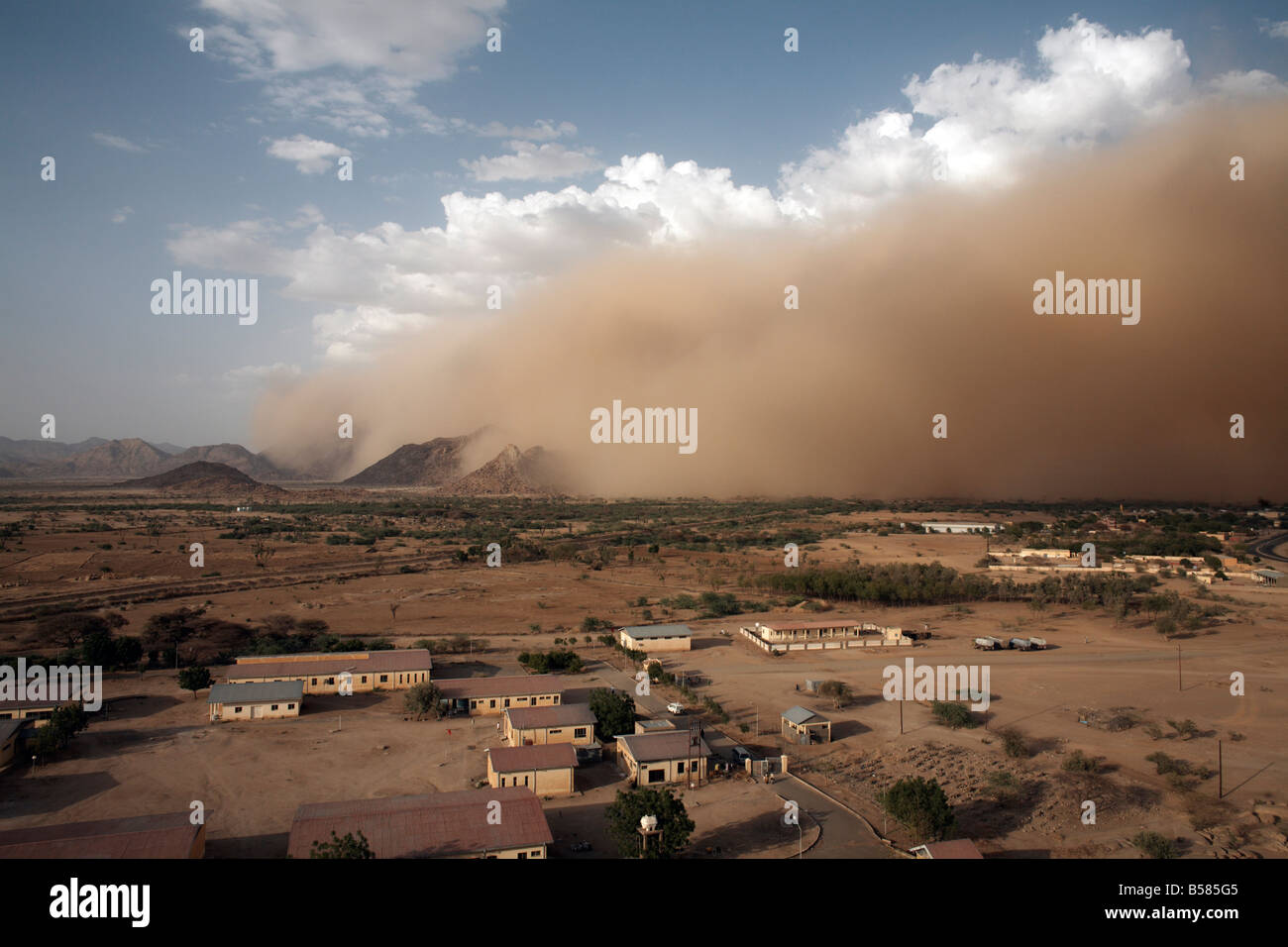 Ein Sandsturm nähert sich der Stadt Tesseney nahe der sudanesischen Grenze, Eritrea, Afrika Stockfoto