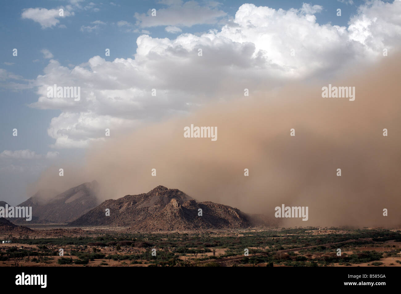 Ein Sandsturm in der Nähe von der sudanesischen Grenze, Eritrea, Afrika Stockfoto