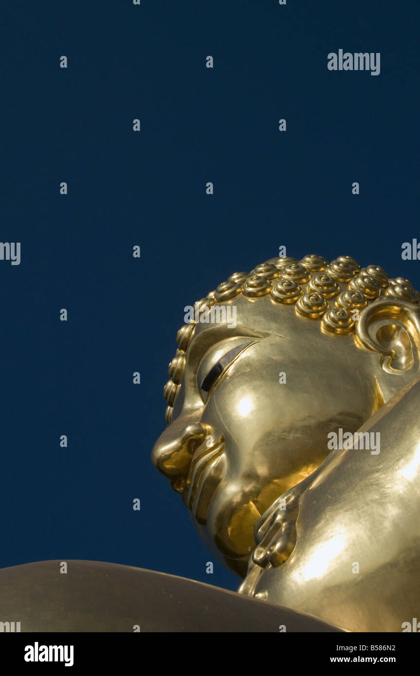 Riesigen goldenen Buddha an den Ufern des Mekong-Flusses in Sop Ruak, Thailand, Südostasien, Asien Stockfoto