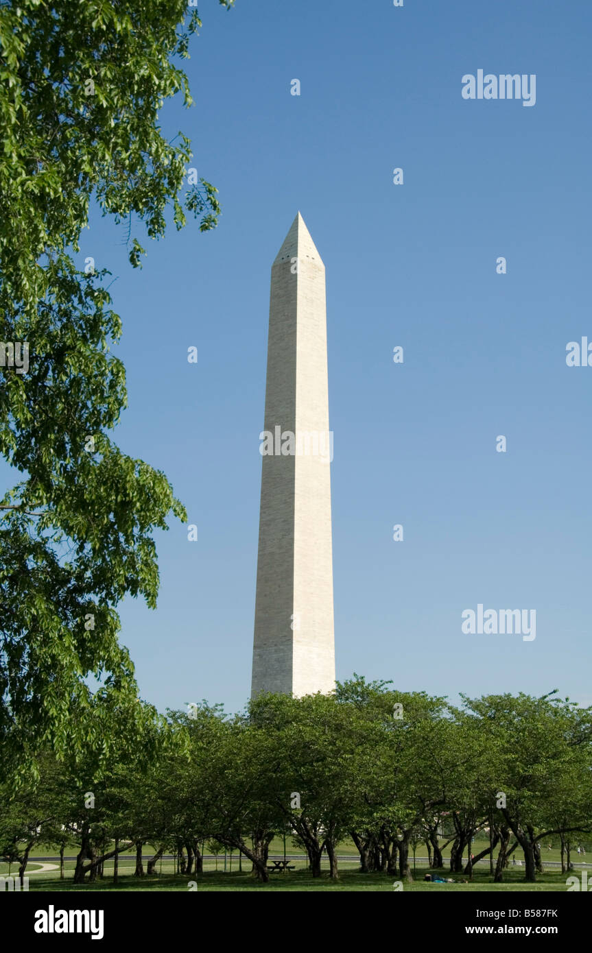 Washington Mounument, Washington D.C. (District Of Columbia), Vereinigte Staaten von Amerika, Nordamerika Stockfoto