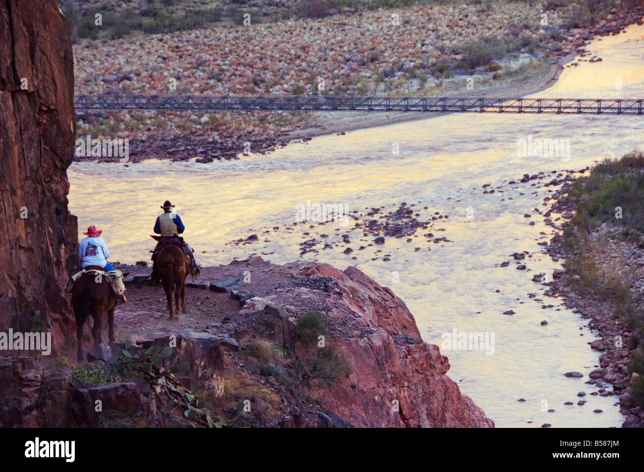 Maultiere, die Touristen entlang des Colorado River Trail, Grand Canyon, Arizona, Vereinigte Staaten von Amerika, Nordamerika Stockfoto