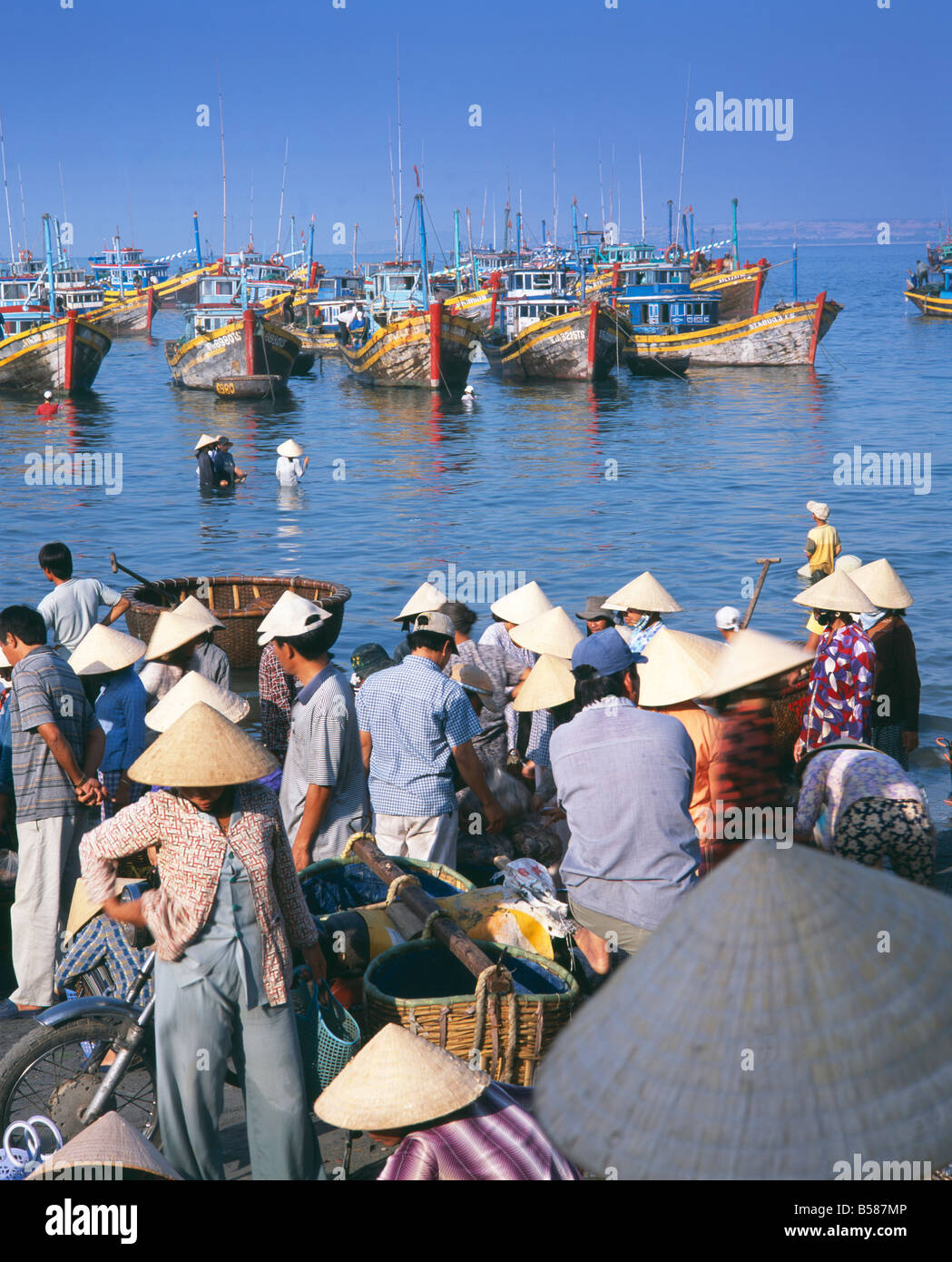 Angeln Dorfbewohner sammeln am Morgen fangen von Fischen Boot Flotte, Mui Ne, Süden-zentralen Küste, Vietnam, Indochina Stockfoto