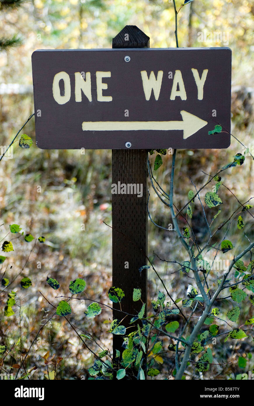 Nationalparkschild mit der Aufschrift: One Way. Caribou-Targhee National Forest, Idaho, USA Stockfoto