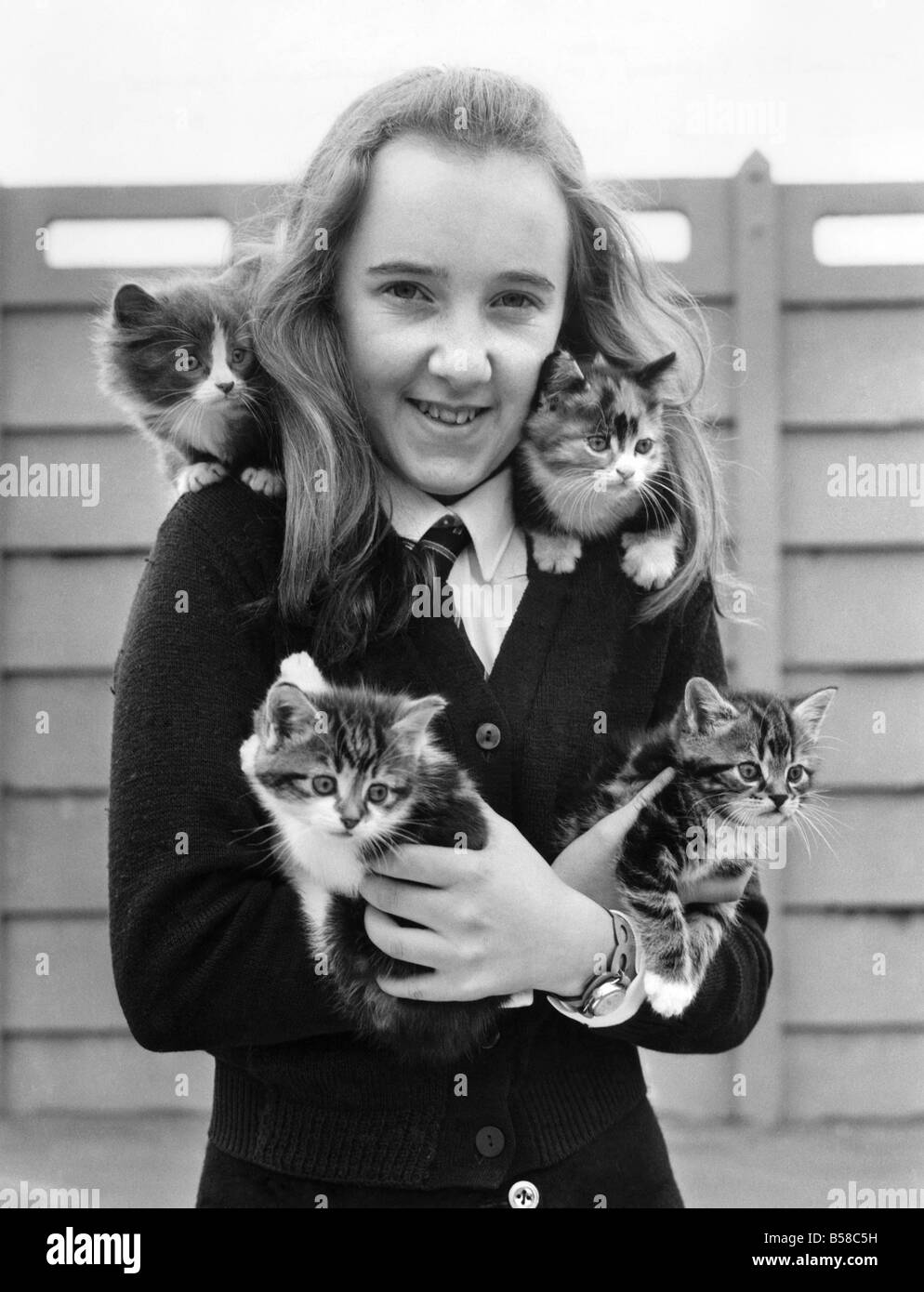 Jeanette Gibbons (14) von Court Hey Drive, Liverpool, mit vier Kätzchen, die sie in die Arme und Schultern gerettet. P006117 Stockfoto