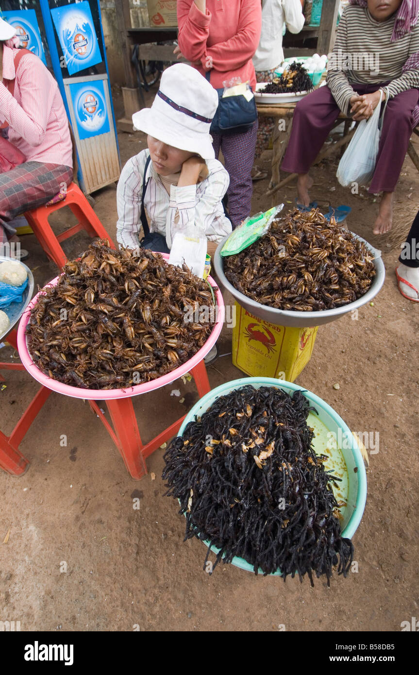 Gekocht, Grillen und Spinnen für das Essen im Markt, Kambodscha, Indochina, Südost-Asien Stockfoto