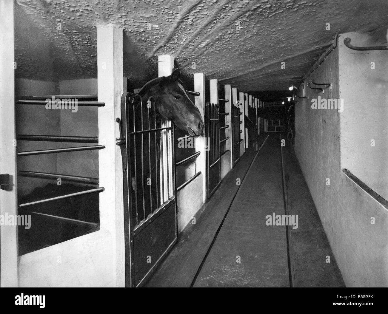 Einige der neuen losen Pferdeboxen an Bomarsund Grube der Bedlington Coal Company Stockfoto