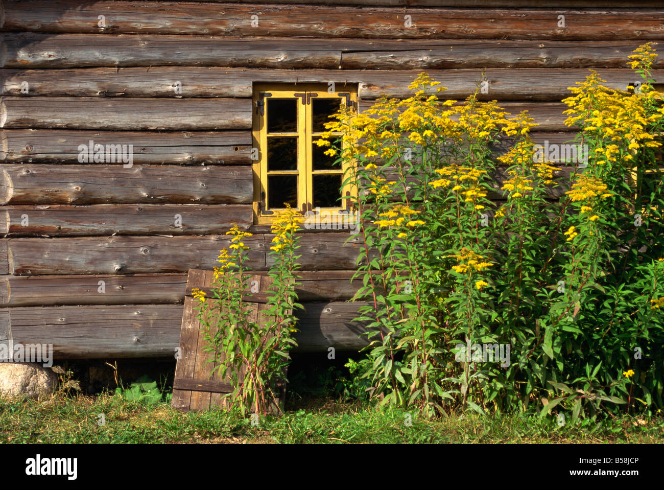 Estnische Altbau, Folklore-Park in der Nähe von Tallinn, Estland, Baltikum, Europa Stockfoto