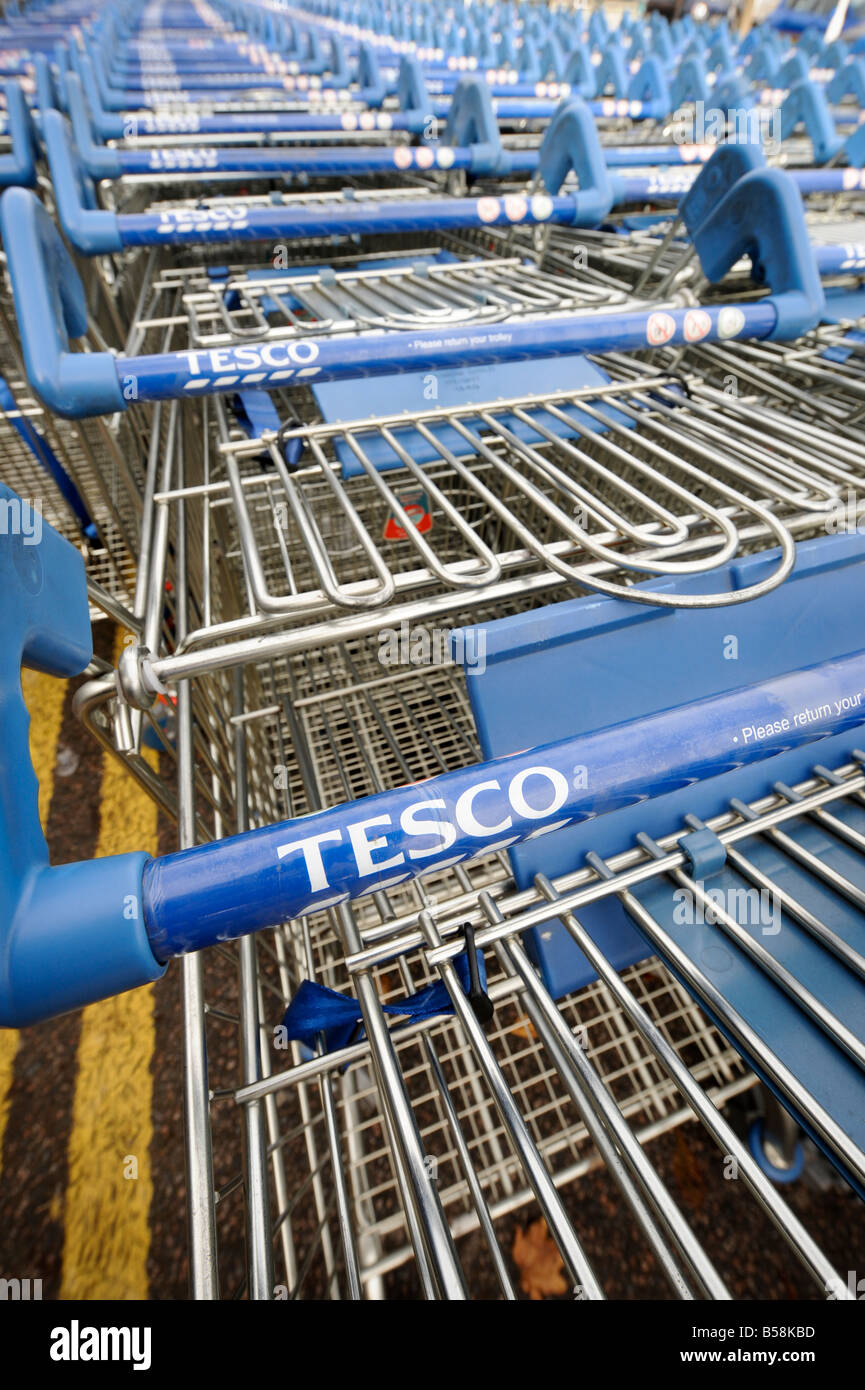 Hunderte von Tesco Einkaufswagen gestapelt und bereit für den nächsten Kunden. Bild von Jim Holden. Stockfoto