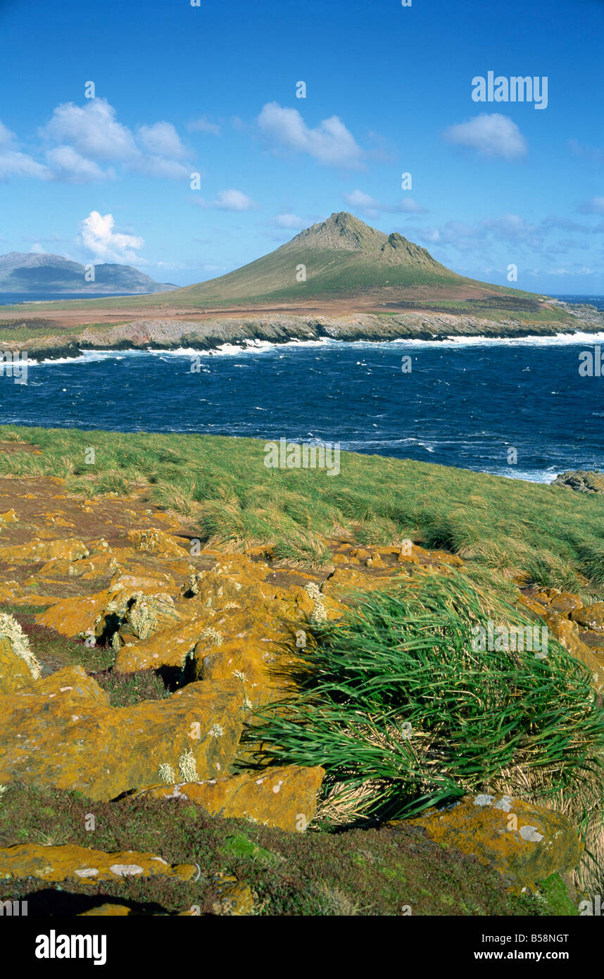 Steeple Jason eines der entlegensten Inseln Falkland-Inseln South Atlantic South America Stockfoto