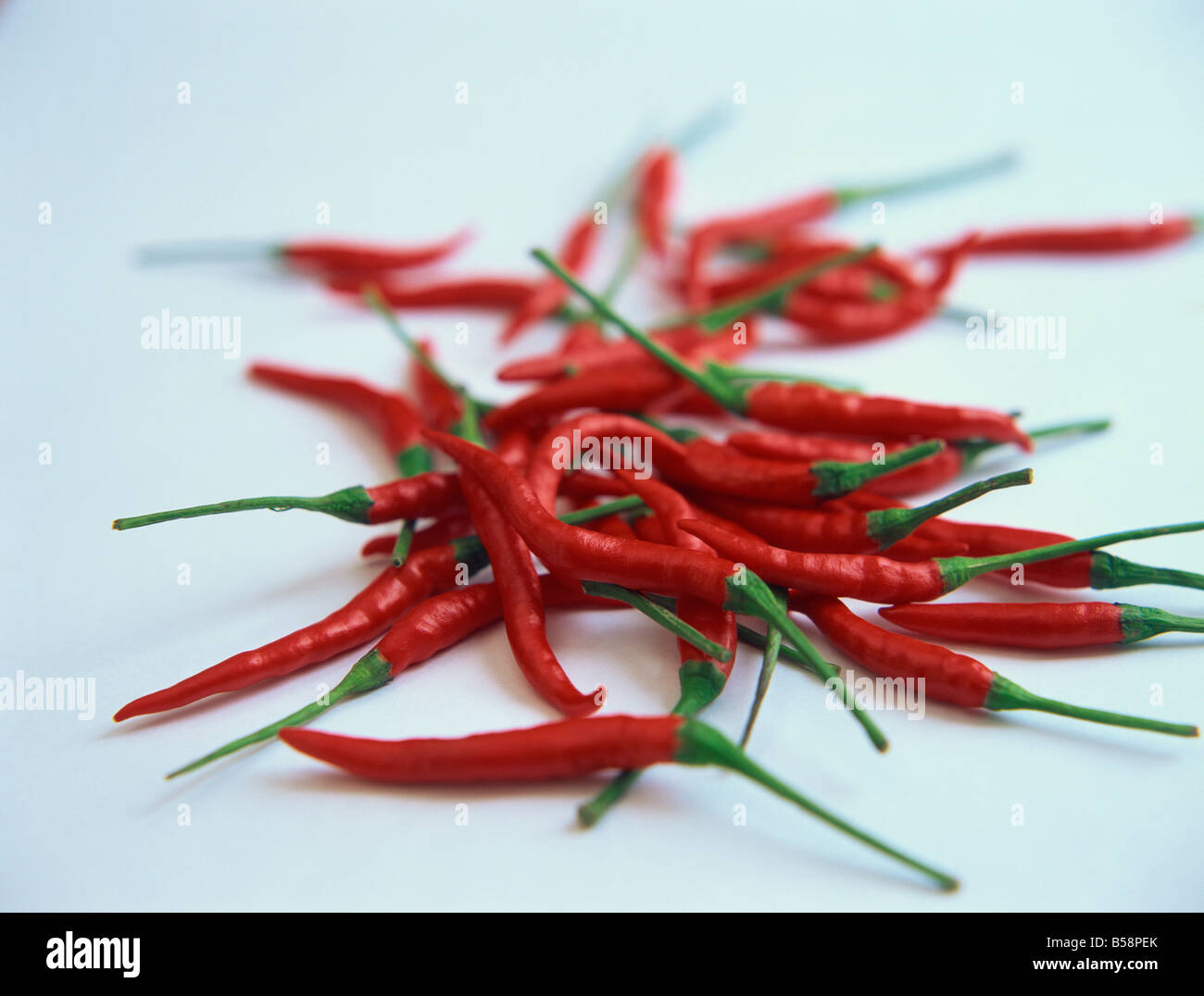 Rote heiße Chilischoten auf einem weißen Blatt C Sonja Stockfoto