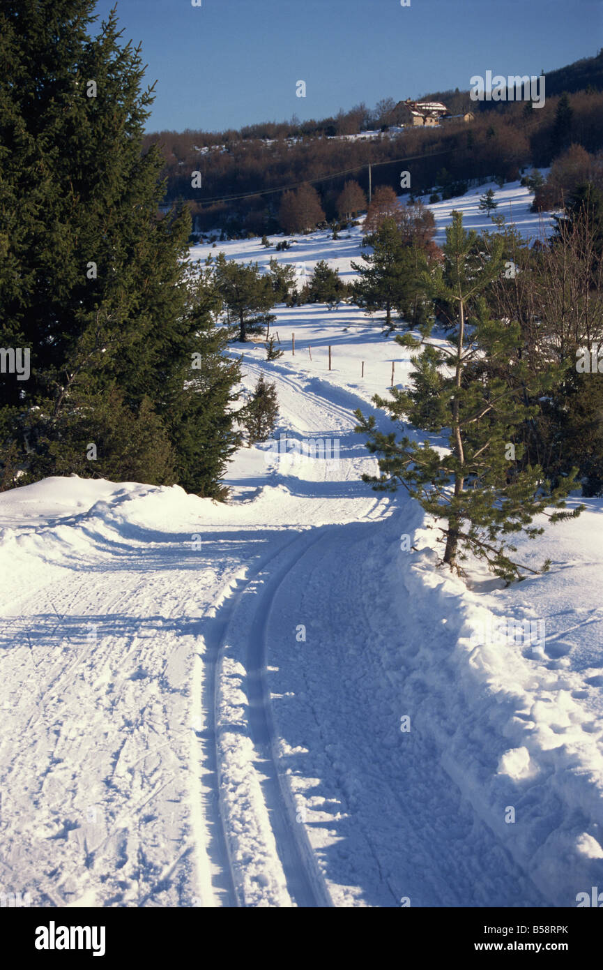 Ski Spuren in einer verschneiten Landschaft in der Nähe von Vassillieux, im Nationalpark im Vercors, Dauphine, Rhone Alpes, Frankreich, Europa Stockfoto