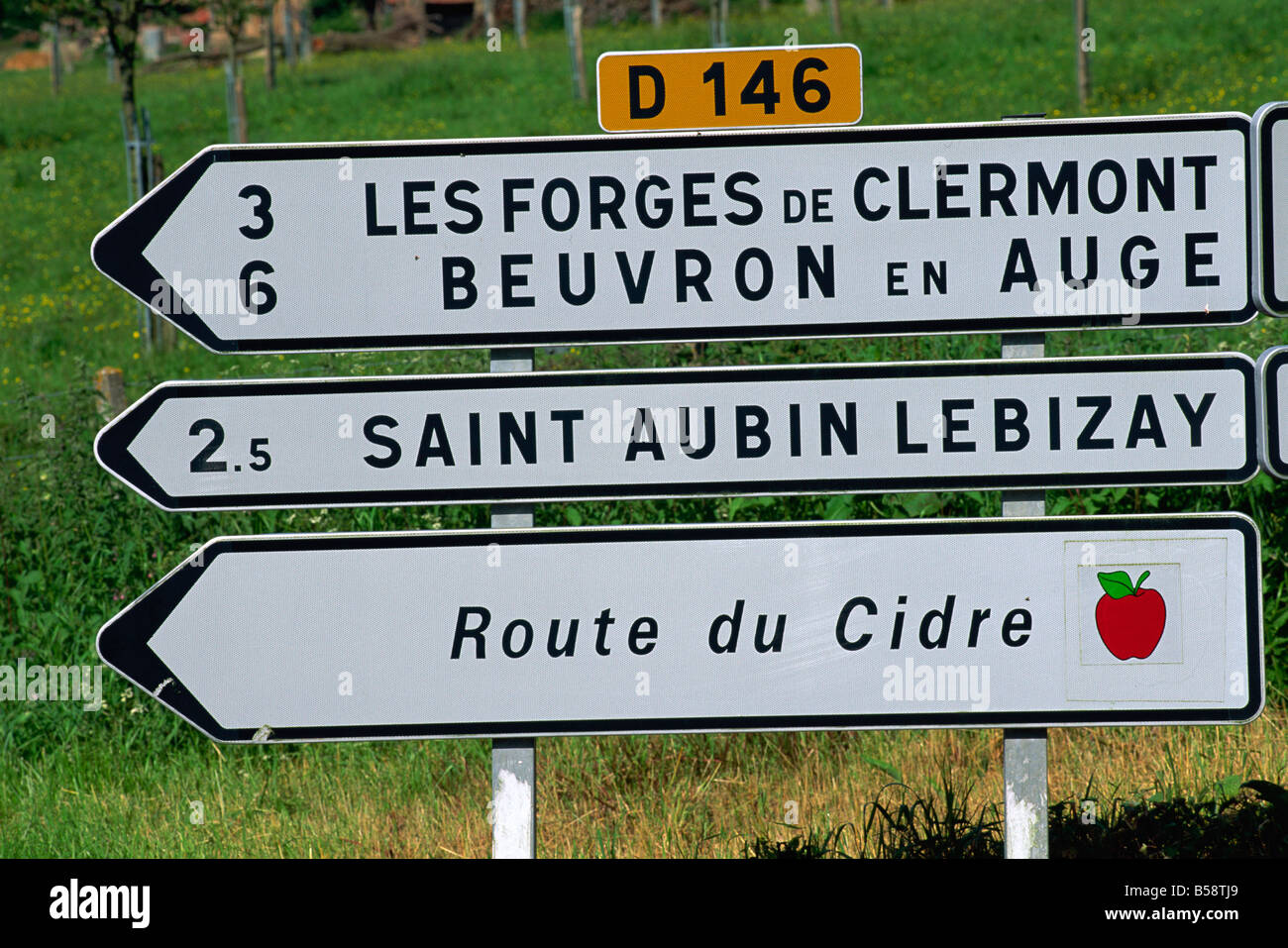 Route du Cidre (Apfelwein Route), Auge Tal, Normandie, Frankreich, Europa Stockfoto