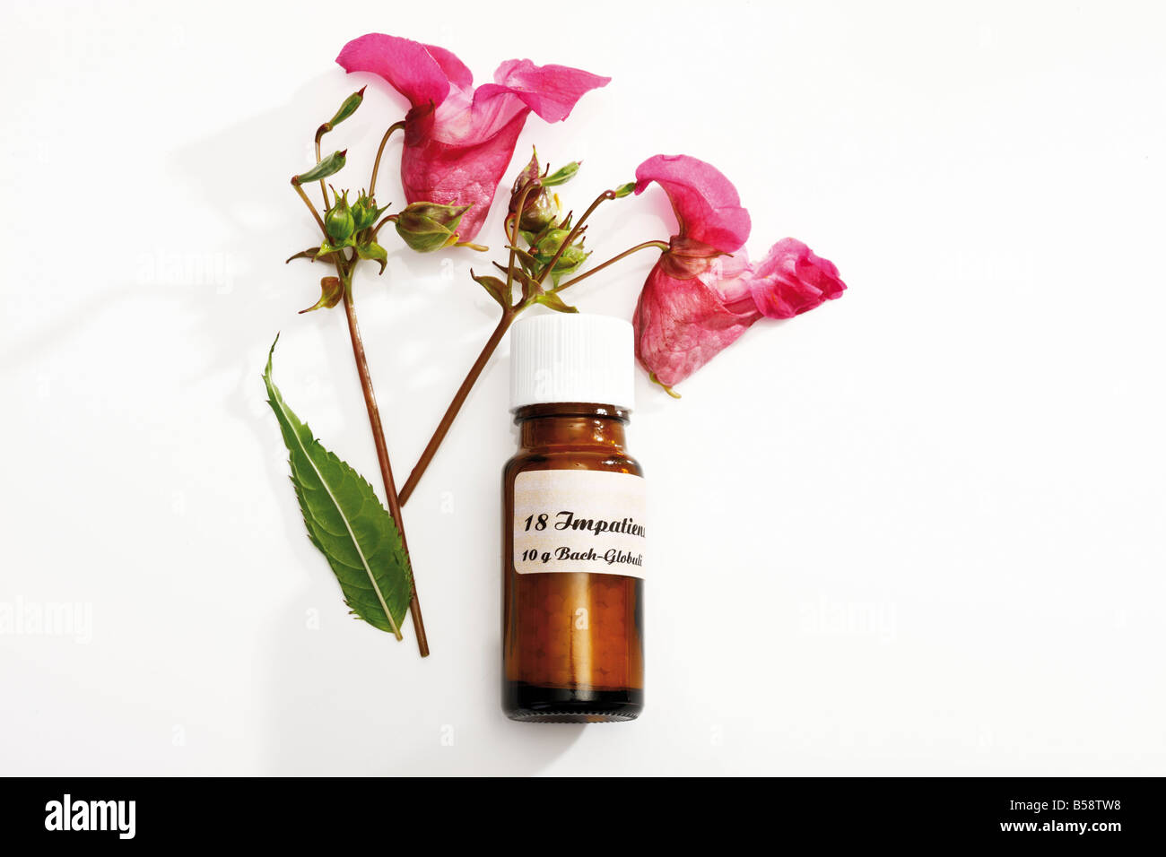 Flasche mit Bach Flower Stock Remedy, Impatiens Stockfoto