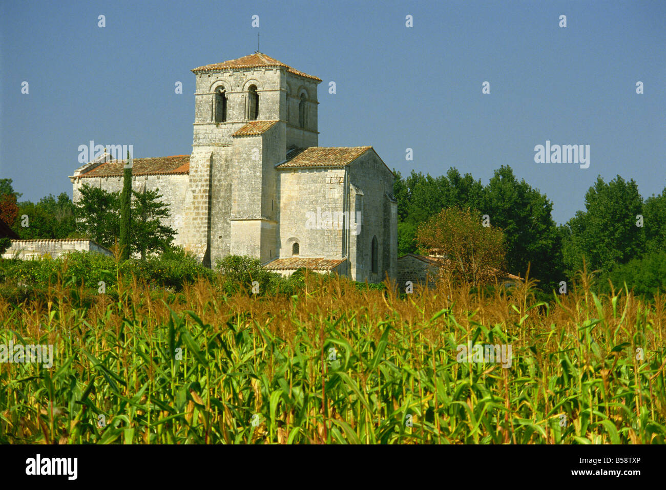 Die Kirche Gräber in der Nähe von Cognac, Poitou-Charentes, Frankreich, Europa Stockfoto