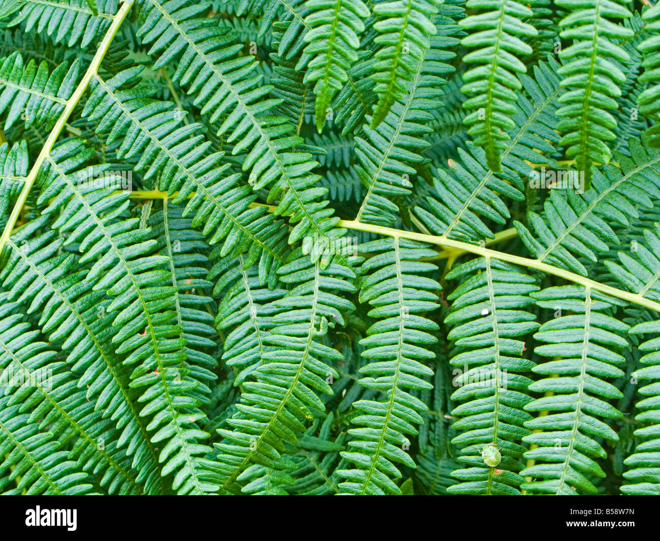 butlers kunstpflanzen FLORISTA Kunstblume Monstera – BUTLERS main image 1