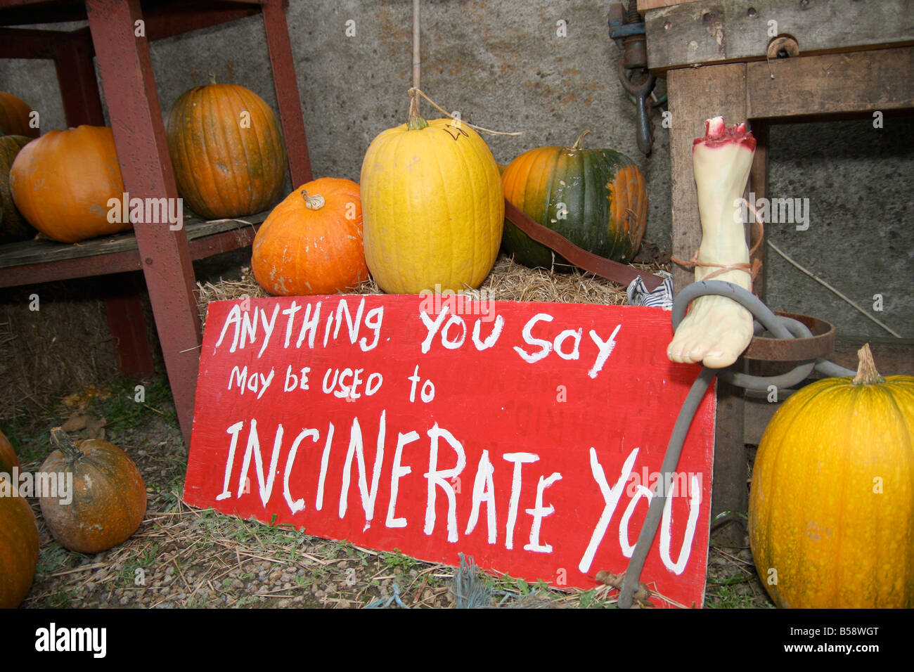 Spooky Zeichen innerhalb einer themed Halloween Haus Garten Stockfoto
