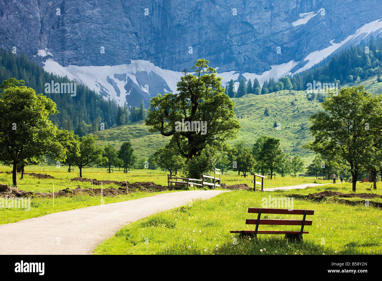 Österreich, Tirol, Landschaft und Bank Stockfoto
