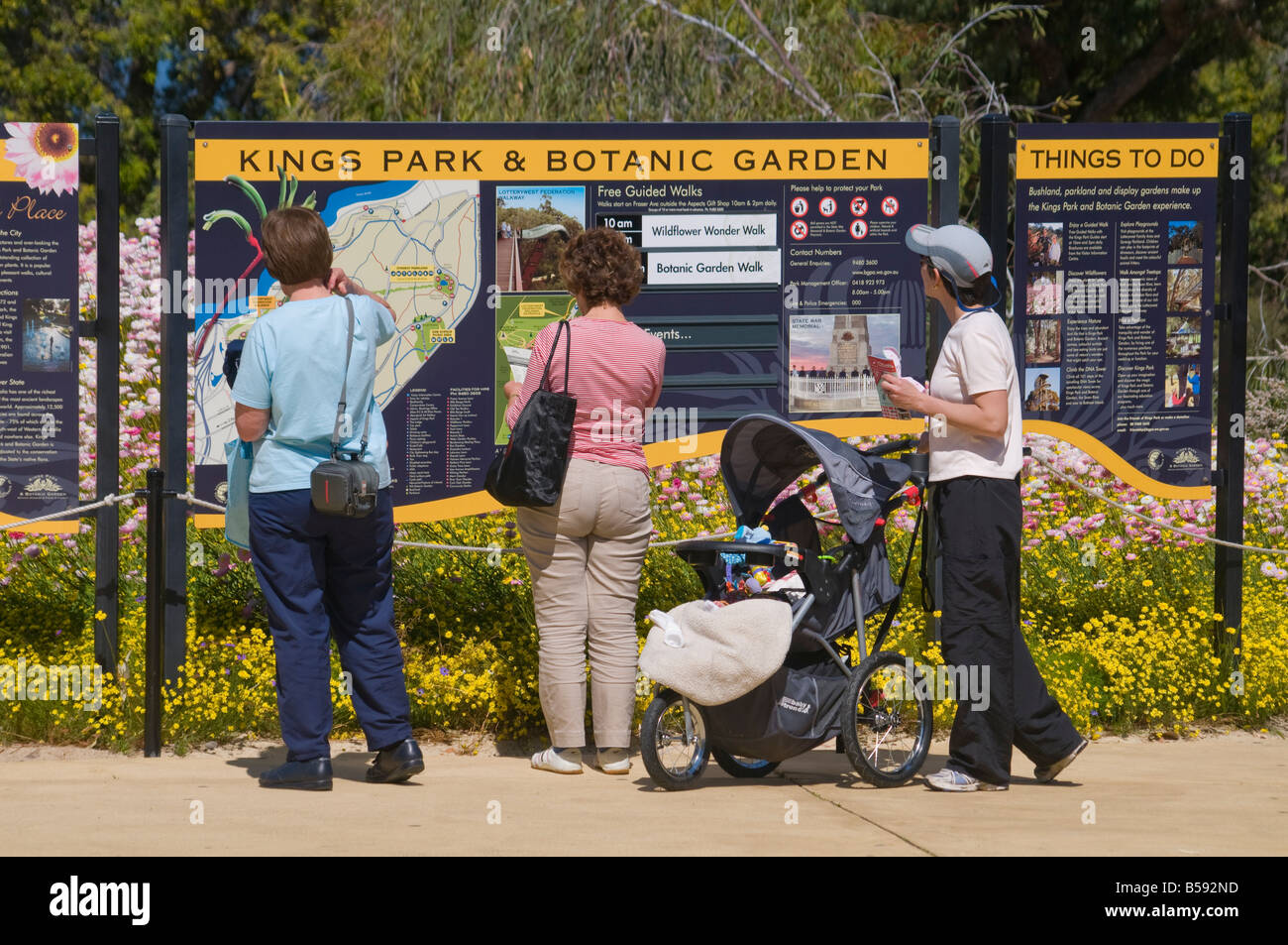 Besucher, die Beratung einer Karte in Kings Park Perth Western Australia Stockfoto