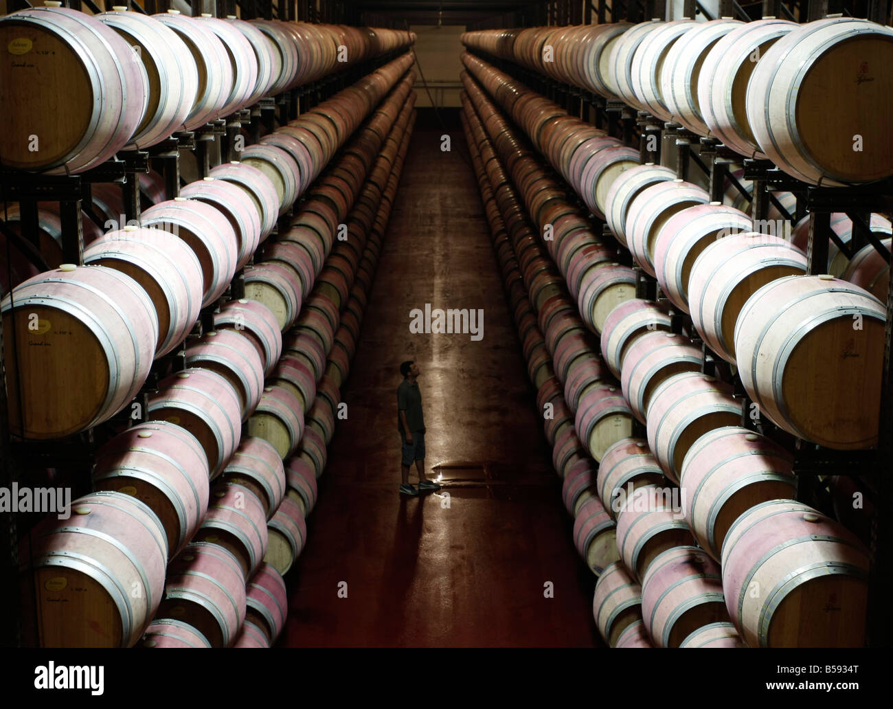 Barrols der Wein in den Weinbergen Abadia Retuerta Sardon del Duero gelagert Stockfoto