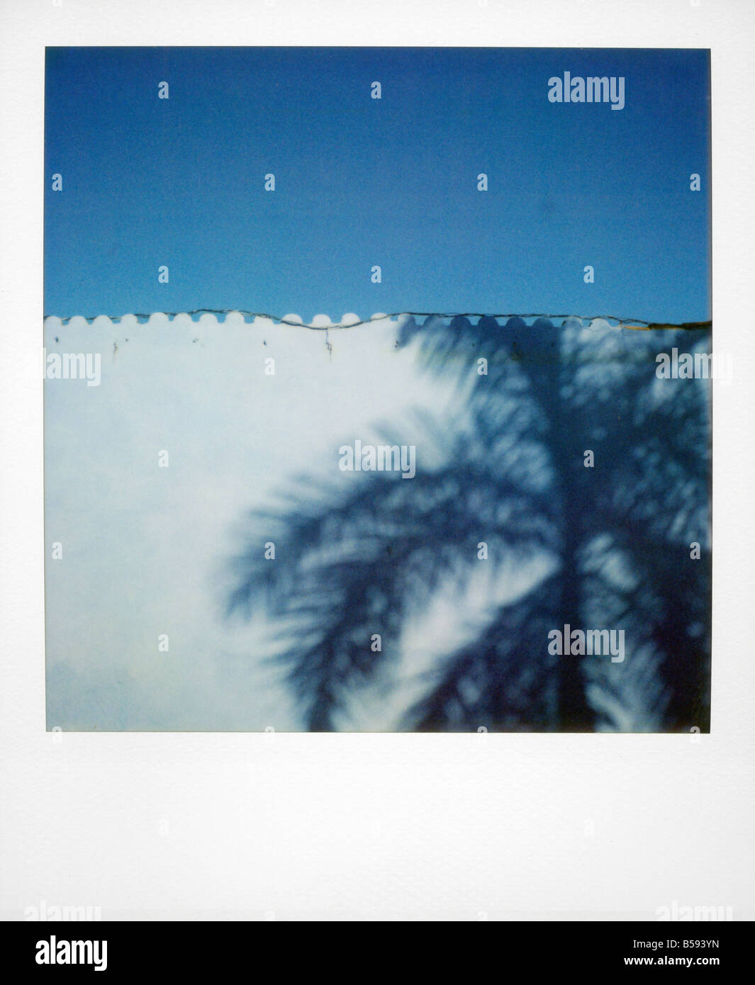 Polaroid von Schatten der Palme auf gemalte blaue Wand Plaza Mayor Trinidad Kuba West Indies Mittelamerika Stockfoto