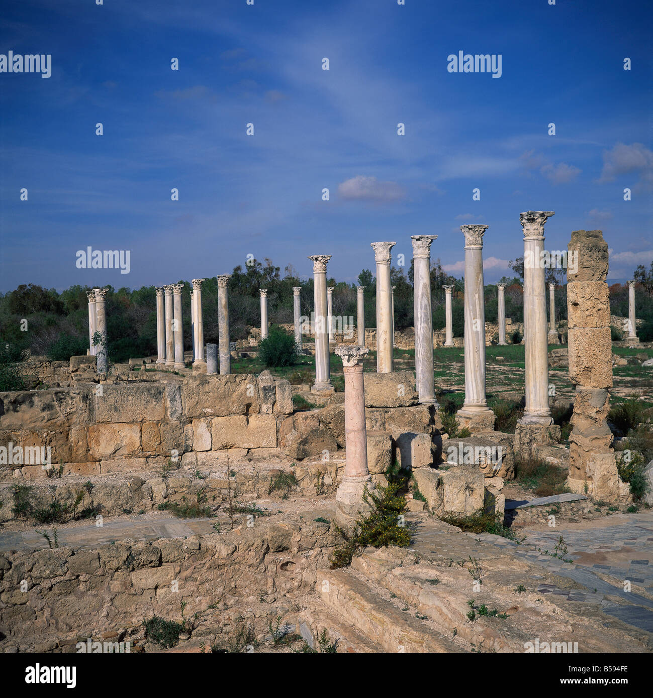 Spalten der hellenistische Gymnasium umgebaut von den Römern und Palästra Übung bei Salamis Haupt Stadt Zyperns 1075 v. Chr., gemahlen Stockfoto