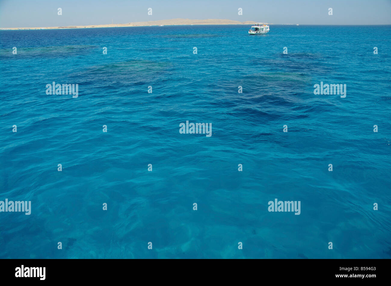 Korallenriff im Roten Meer Stockfoto