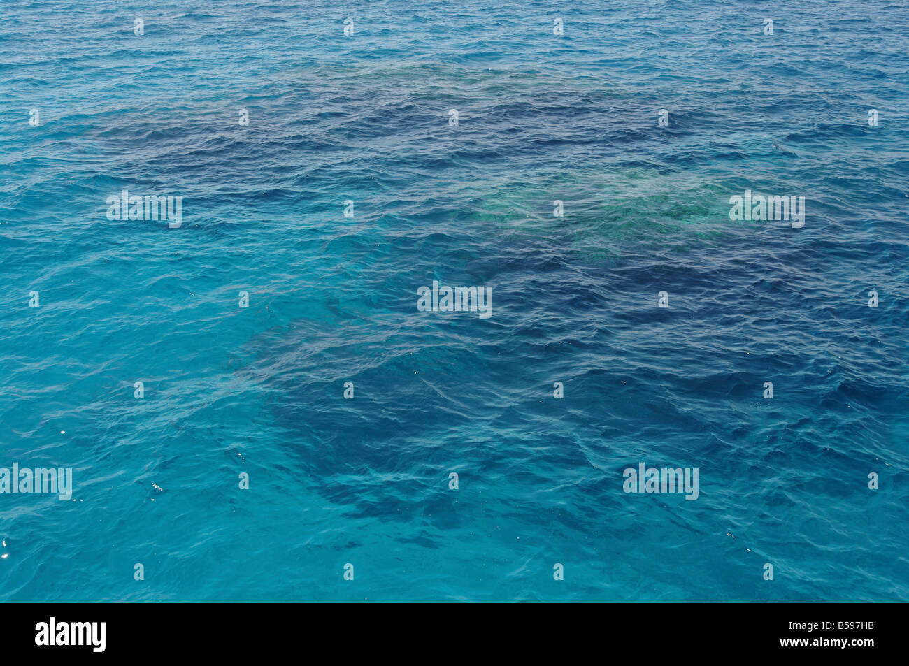 Korallenriff im Roten Meer Stockfoto