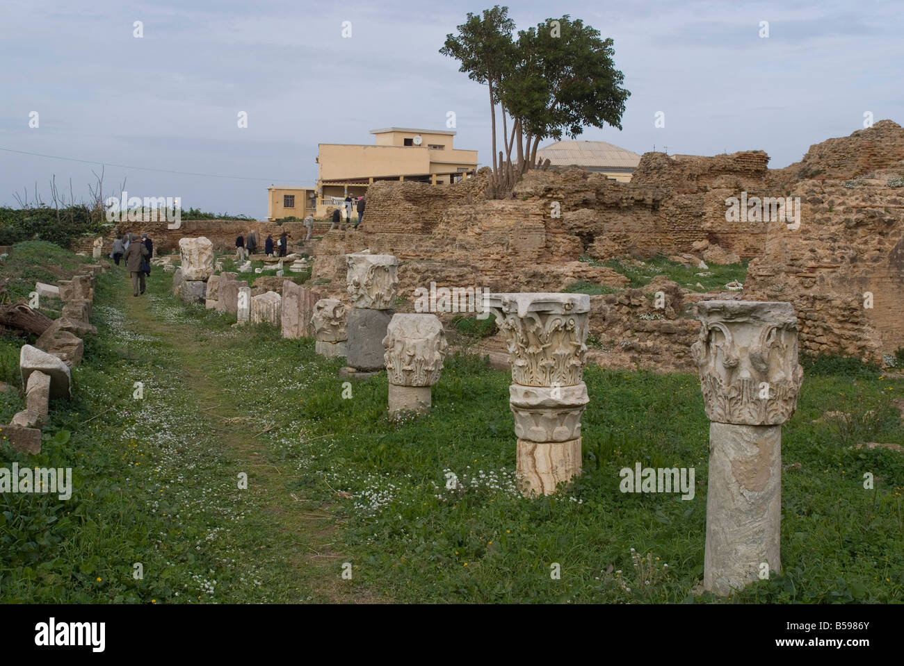 Römische Stätte von Cherchell begraben unter der Neustadt Cherchell Algerien Nordafrika Afrika Stockfoto