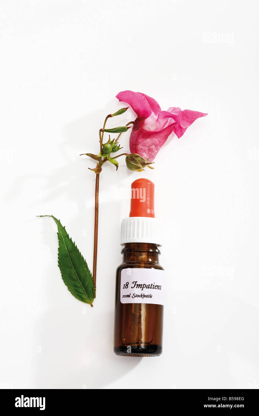 Flasche mit Bach Flower Stock Remedy, Impatiens Stockfoto