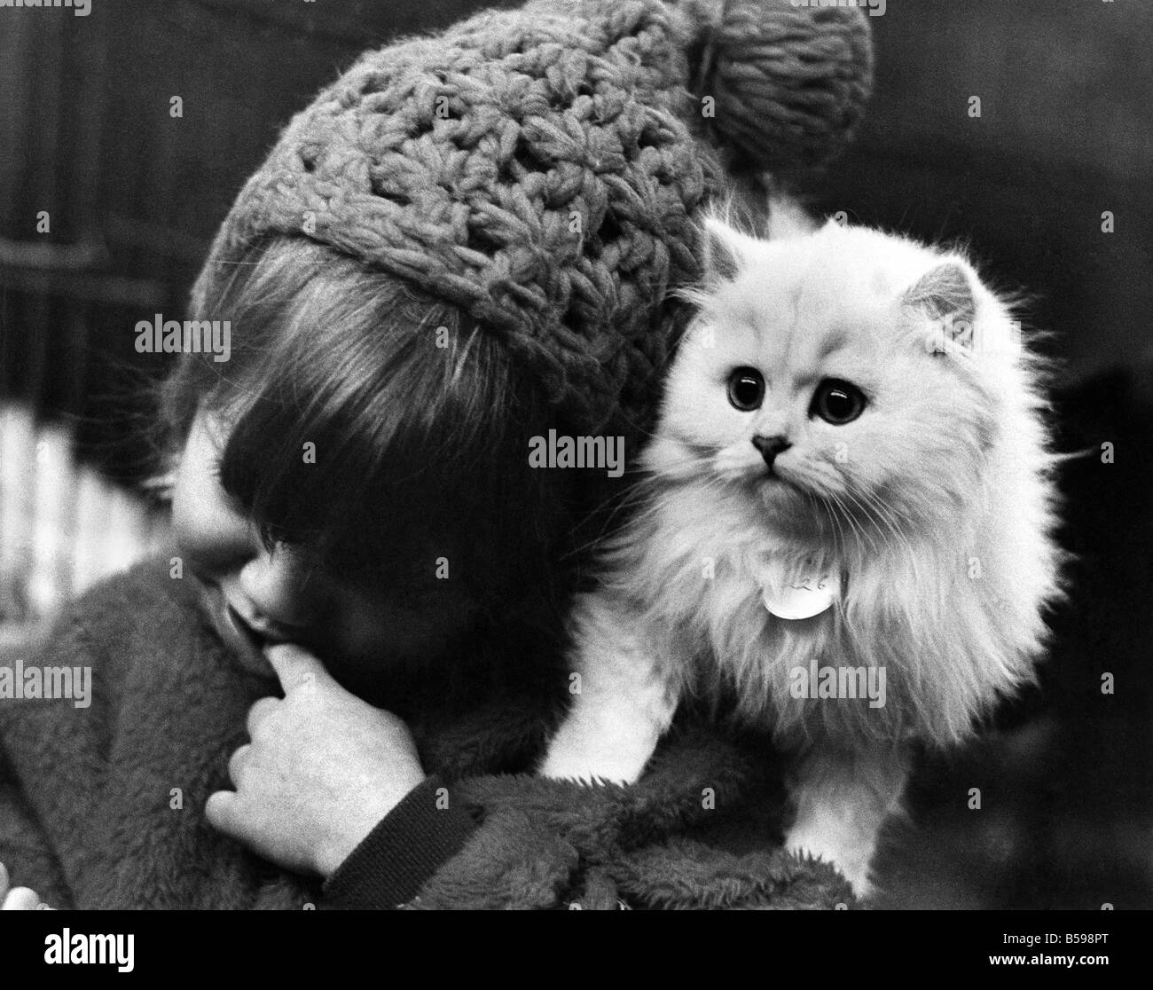 4 Jahre alte Darien Israel von London mit Chinchilla Weibchen kitten "Ivelholme Ouida" im Alter von 4 Monaten. Januar 1972 P007412 Stockfoto