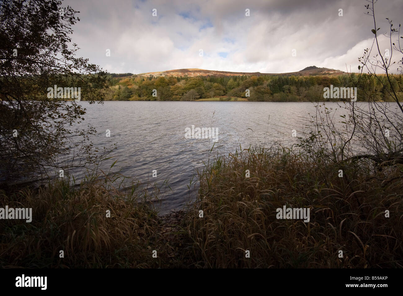 Herbstliche Burrator Reservoir Stockfoto