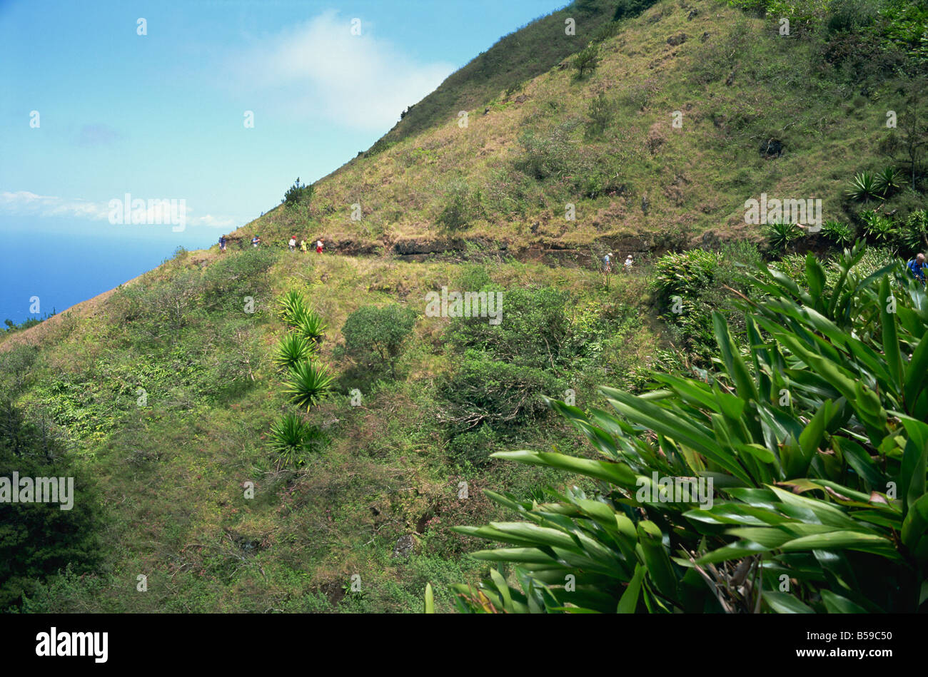 Wanderer auf Grüneberg Ascension Insel Mitte Atlantik Stockfoto