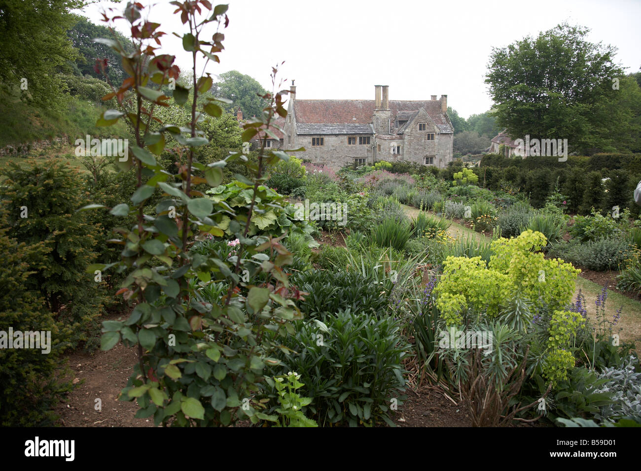 Garten von Mottistone Manor NT National Trust Isle Of Wight England UK Stockfoto Garten von Mottistone Manor NT National Trust Isle Of Wight England UK Stockfoto