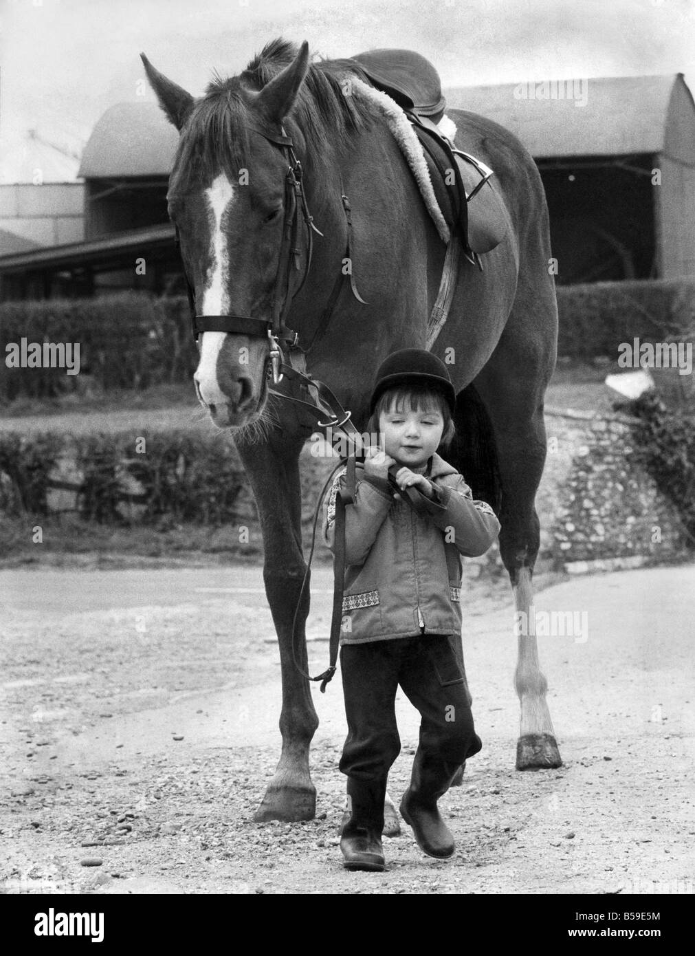Zwei und ein halbes Jahr alte Julie Bainbridge hat sich ihr Geist in das Grand National fahren nach gerade das Rennen im Fernsehen vor kurzem... Nein, nicht nächstes Jahr, aber vielleicht, wenn sie groß genug, um ein Pferd wie zu behandeln ist "Ceills Wahl", die gerade aus dem Rennsport zurückgezogen und trat die anderen Pferden bei ihren Eltern Gestüt im Belmond End in Buckinghamshire.; April 1978; P003668 Stockfoto