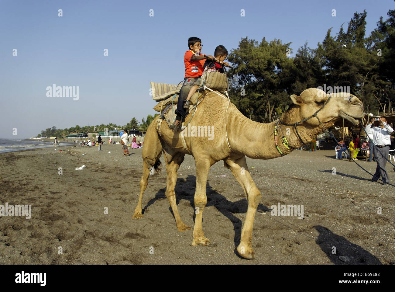 Indien, Daman. Einen Kamelritt am Strand in Daman. Stockfoto