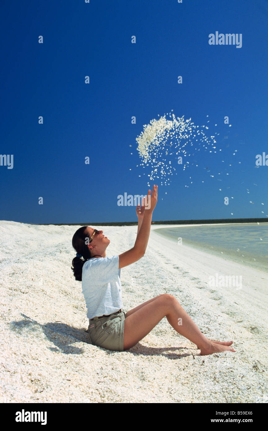 Shell Beach, Shark Bay, Western Australia, Australien, Pazifik Stockfoto