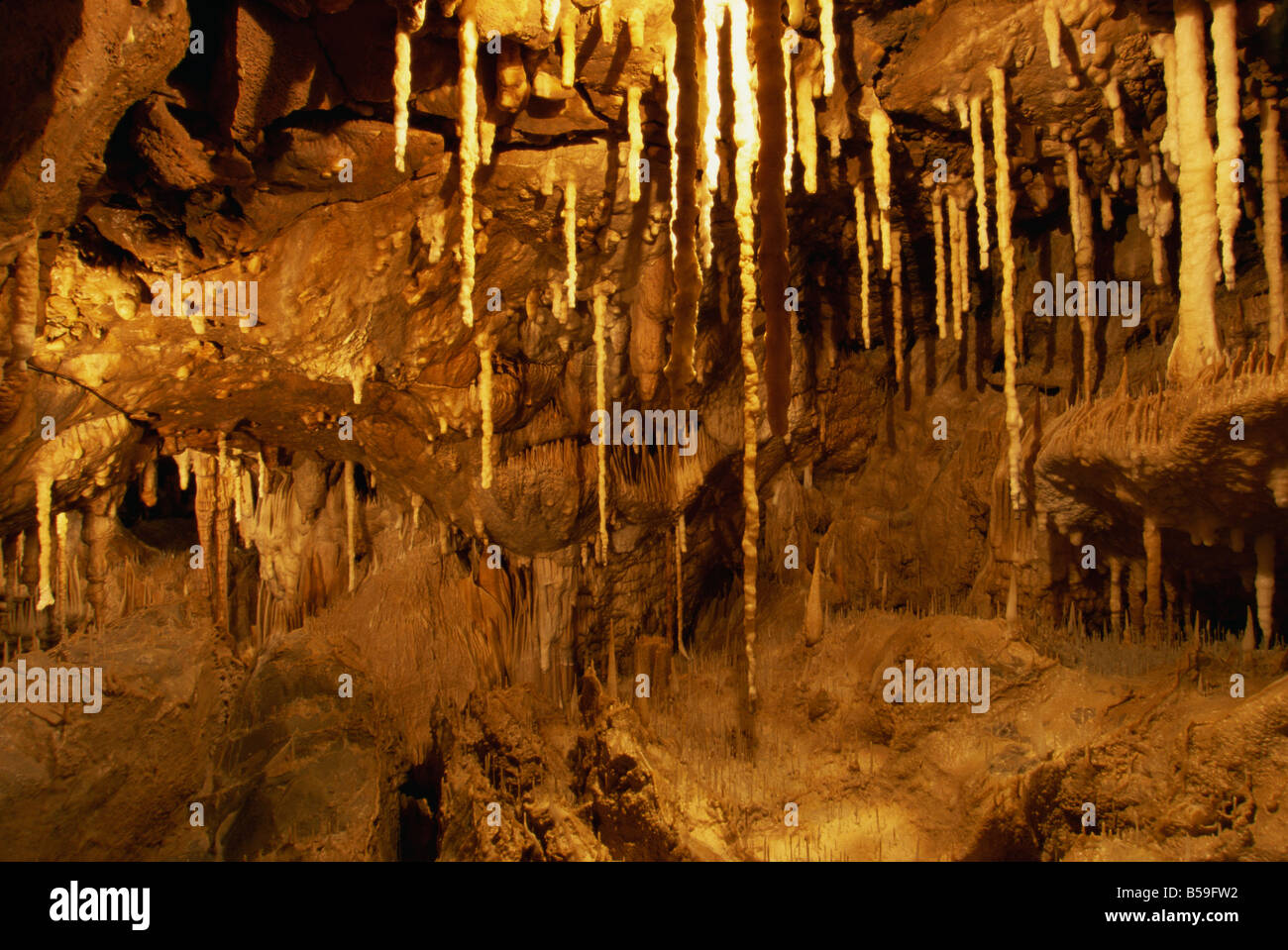 Atta-Höhle in der Nähe von Attendorn, Sauerland, Nordrhein-Westfalen, Deutschland, Europa Stockfoto