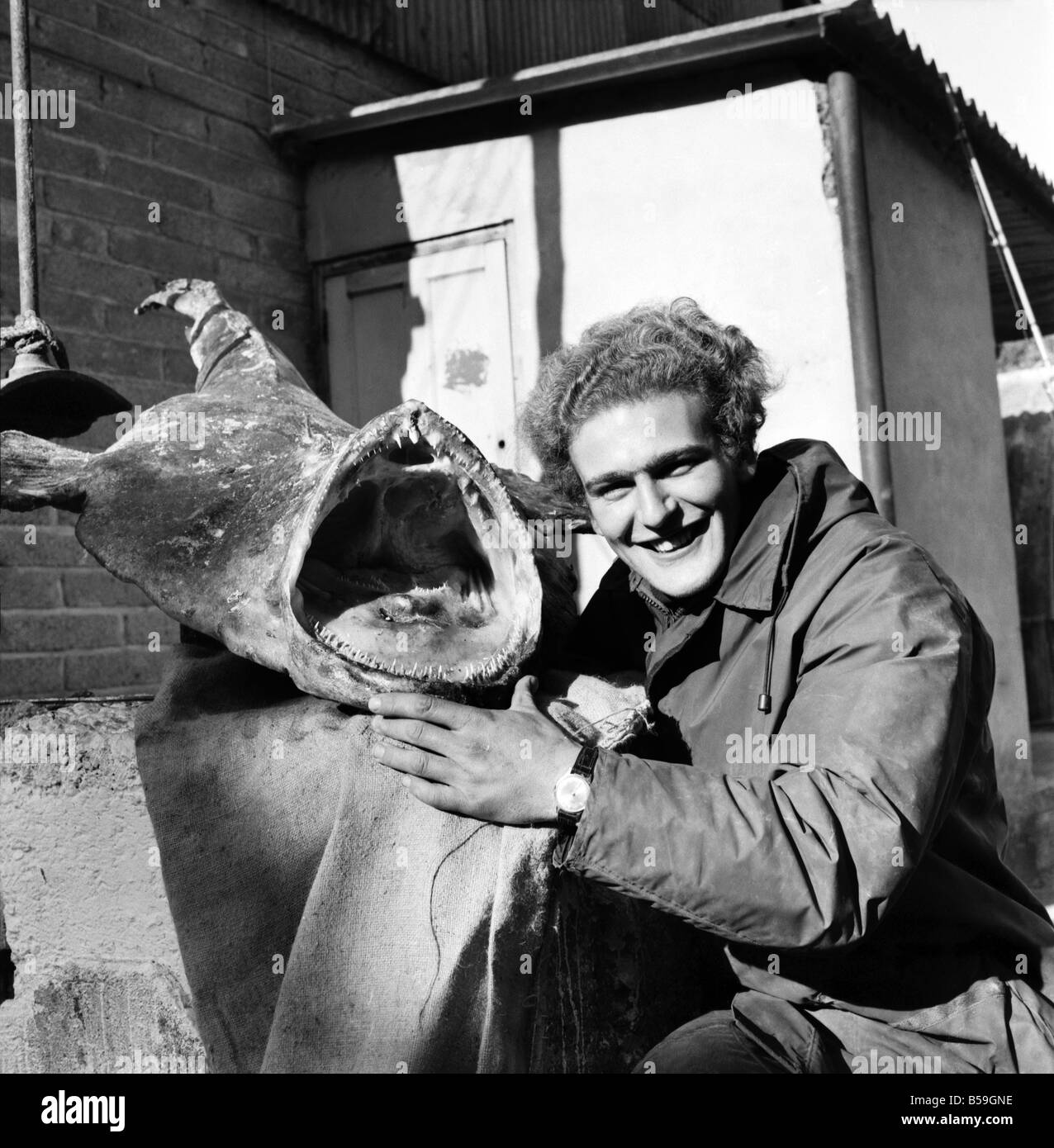 Sport: Angeln: Türkei Bauer Tim Clark (22) im Bild mit 58lb 50z Seeteufel, die er vom Strand bei Hurst Castle in der Nähe von Bournemouth, Hampshire gefangen. Oktober 1969 Z10395-002 Stockfoto
