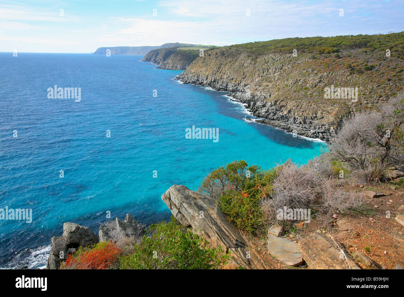 Scotts Bay Kangaroo Island South Australia Stockfoto