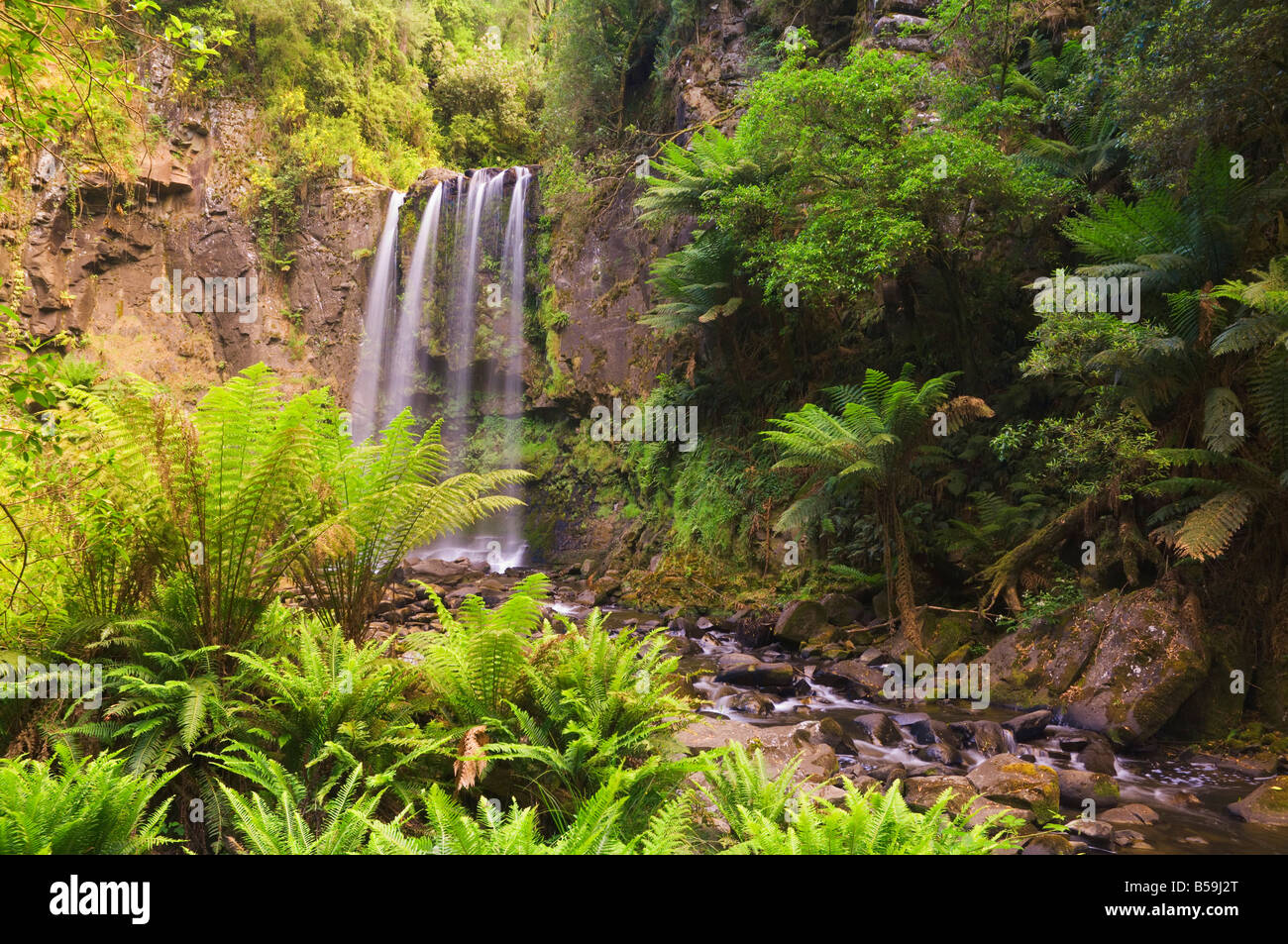Hopetoun Falls, Great Otway National Park, Victoria, Australien, Pazifik Stockfoto