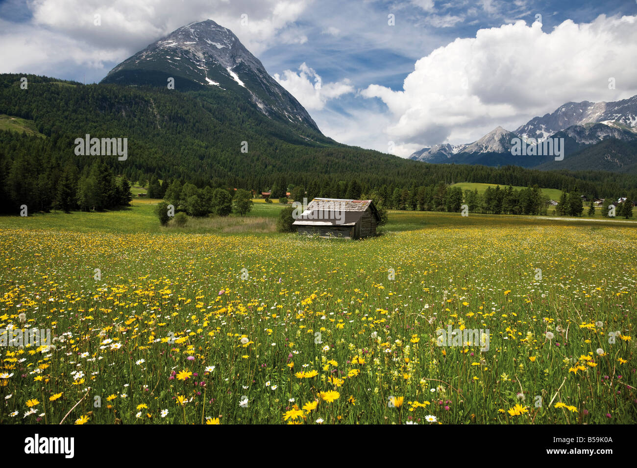 Österreich, Tirol, Leutaschtal, Landschaft und Berge Hohe Munde im Hintergrund Stockfoto