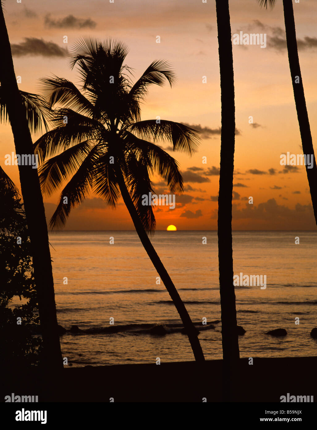 Strand bei Sonnenuntergang Barbados West Indies Karibik Mittelamerika Stockfoto