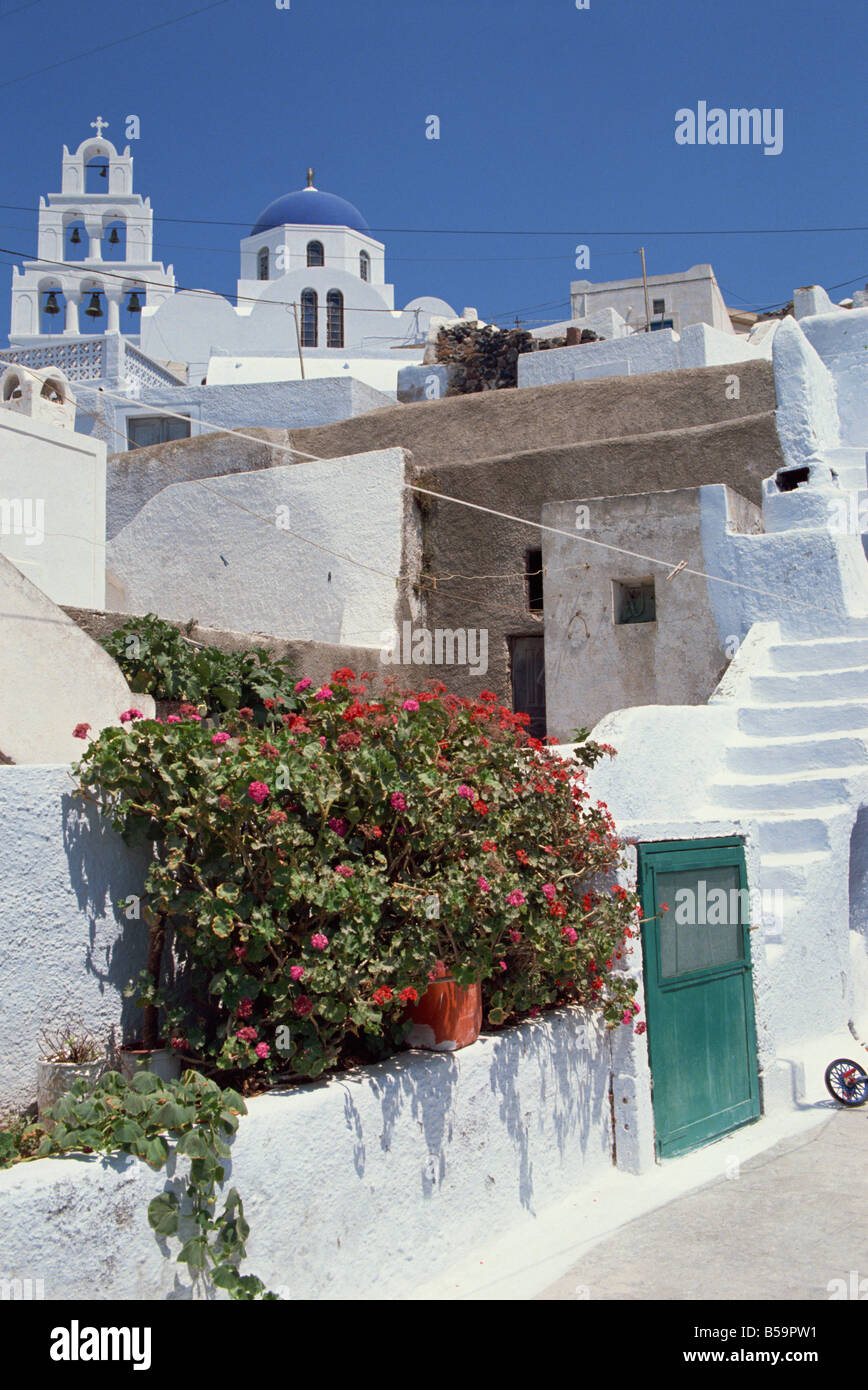 Geranien überhängenden weißen Wänden mit einem Glockenturm und blauen Kuppelkirche auf Hügel hinter in der Ortschaft Pirgos Santorini Stockfoto