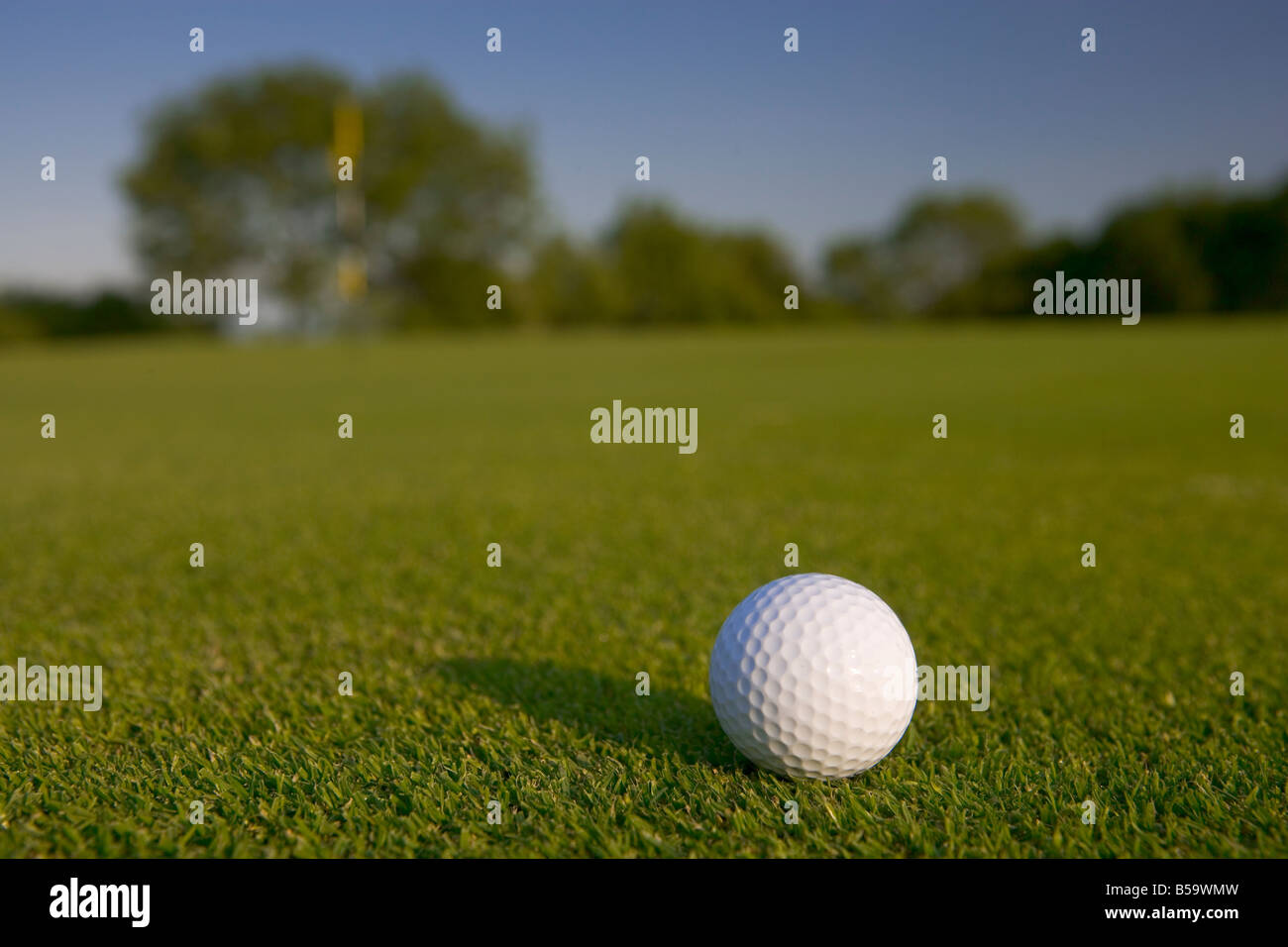 Golfball, Stinchcombe Hill nr Dursley, Gloucestershire, UK Stockfoto