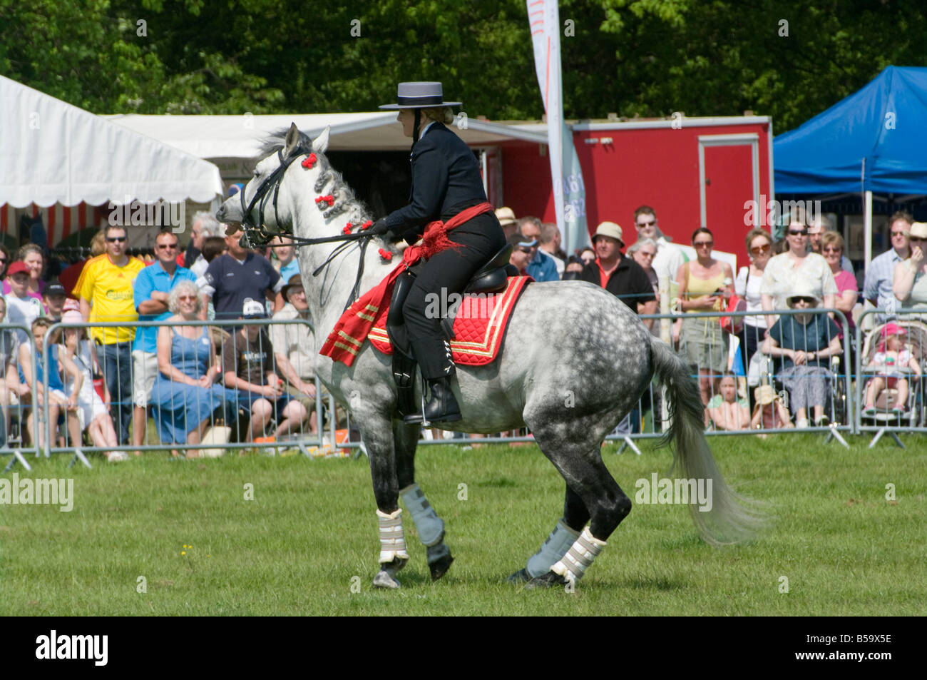 Andalusischen Hengst mit einem weiblichen Reiter In Tracht Cowpie Rallye Betchworth Surrey Person Frau graue Reitpferd Stockfoto