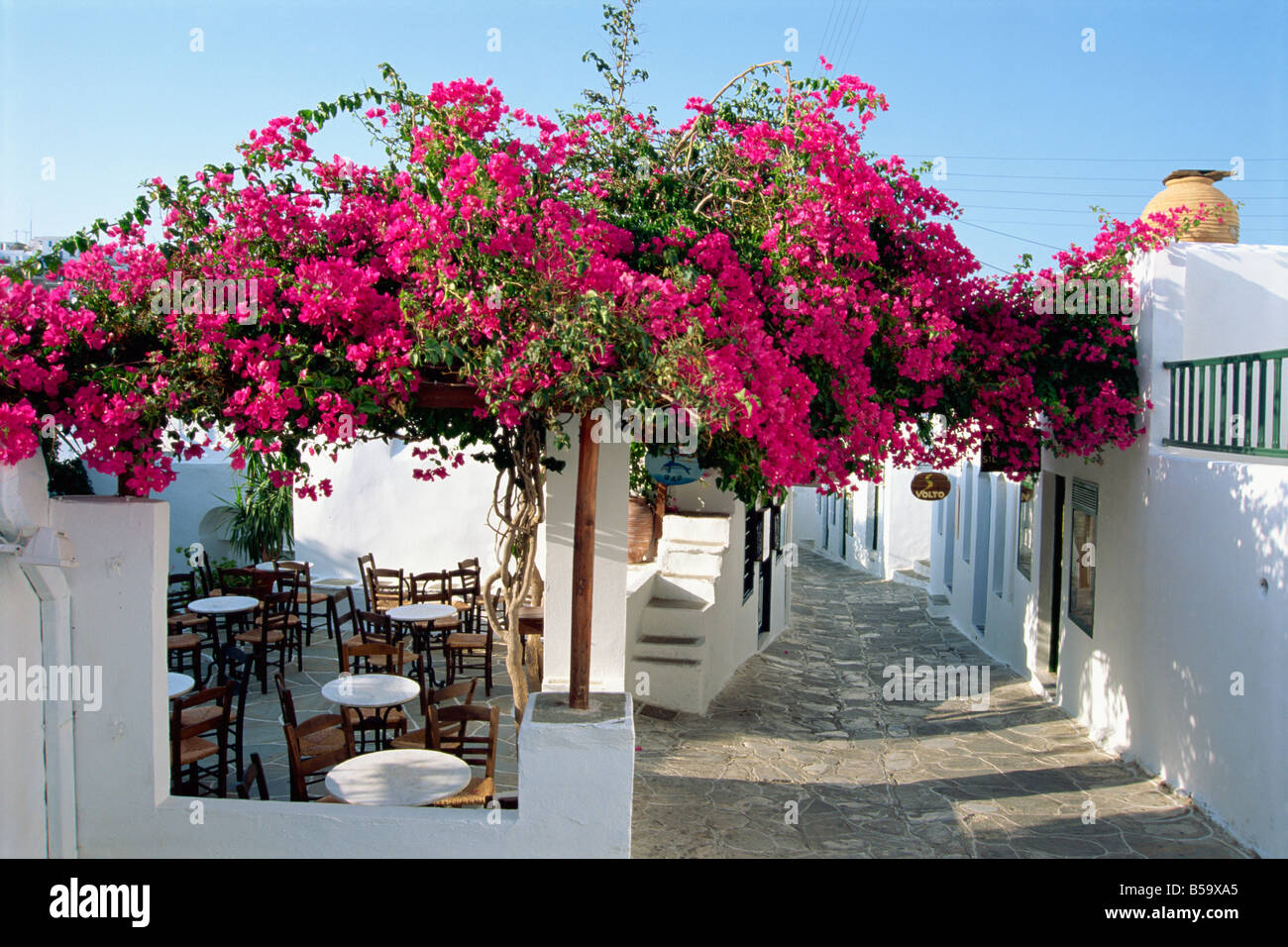 Seite Straße weiße Wände Café und Bougainvillea in Apollonia auf Sifnos Kykladen Inseln griechische Inseln Griechenland Europa Stockfoto