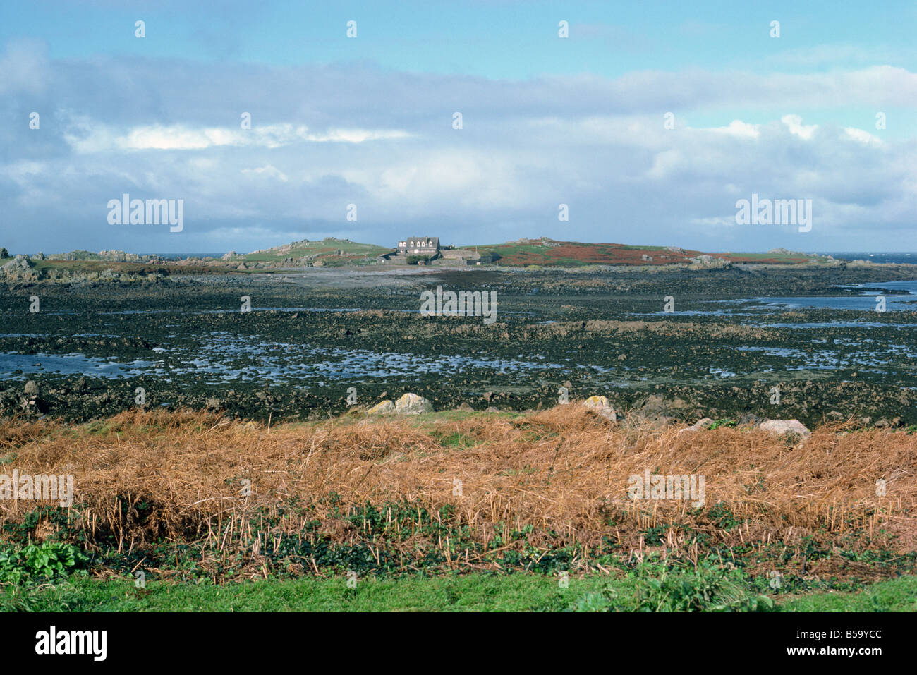 Guernsey Kanalinseln Vereinten Königreich Europas Stockfoto