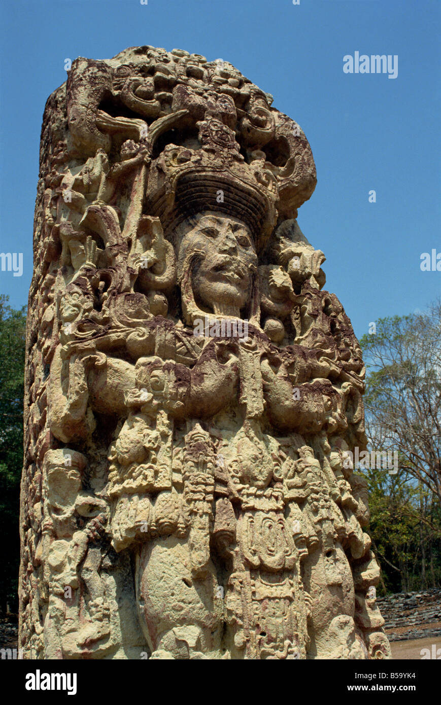 A Staela B C8th geschnitzt AD auf der Maya-Stätte Copán in Honduras in Mittelamerika C Rennie Stockfoto